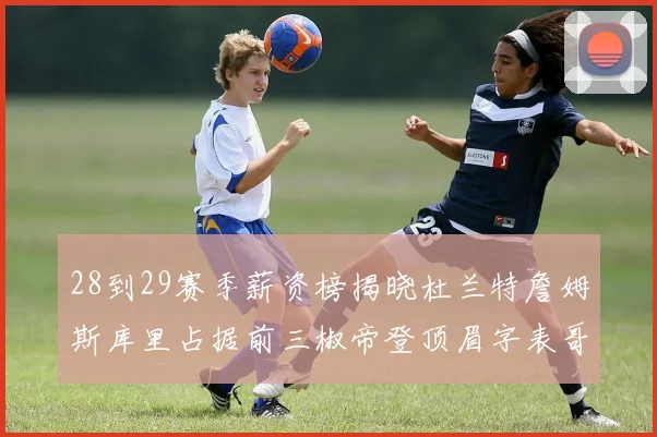 28到29赛季薪资榜揭晓杜兰特詹姆斯库里占据前三椒帝登顶眉字表哥布克跻身前十